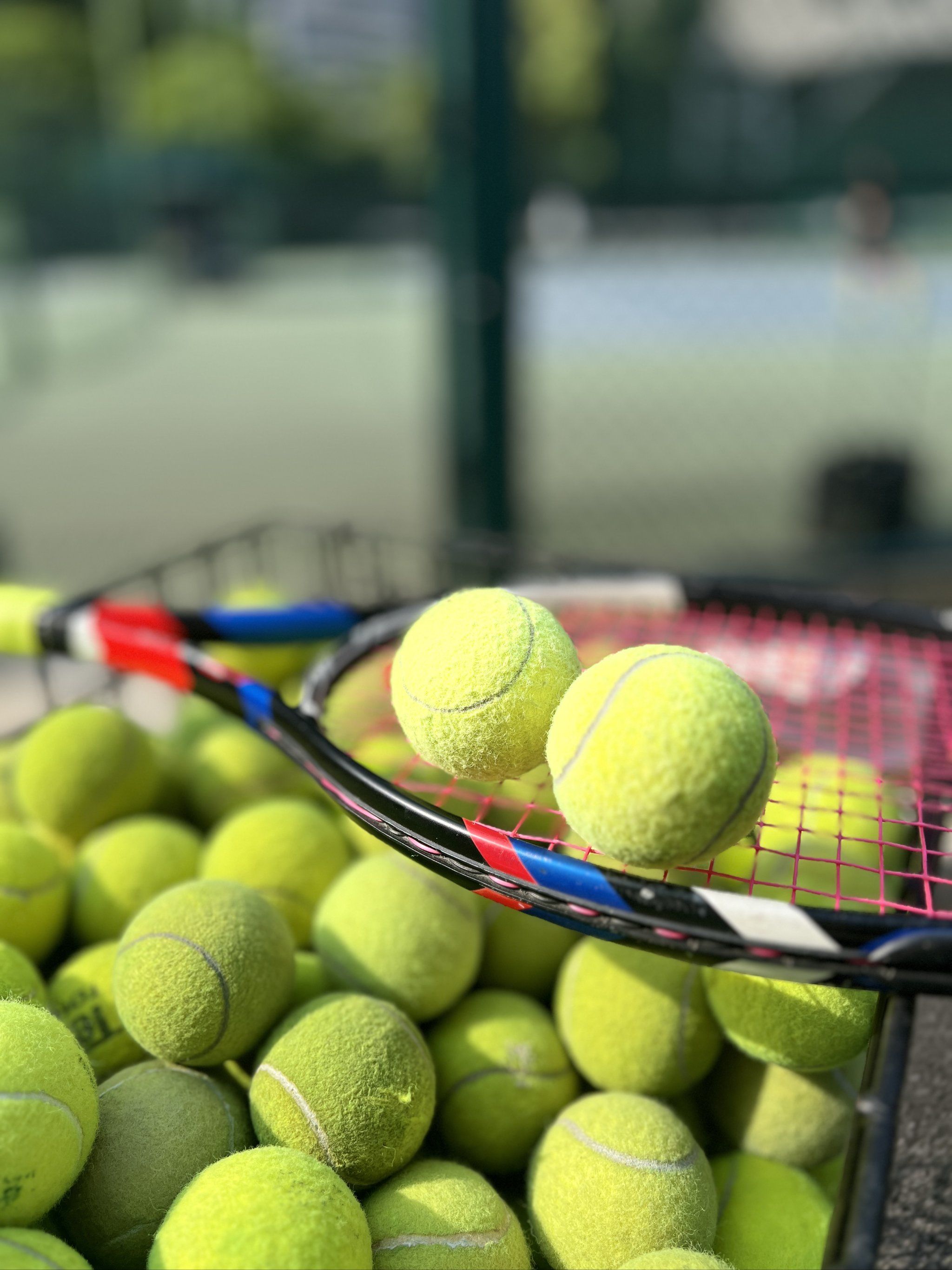 也看到了 也看到了