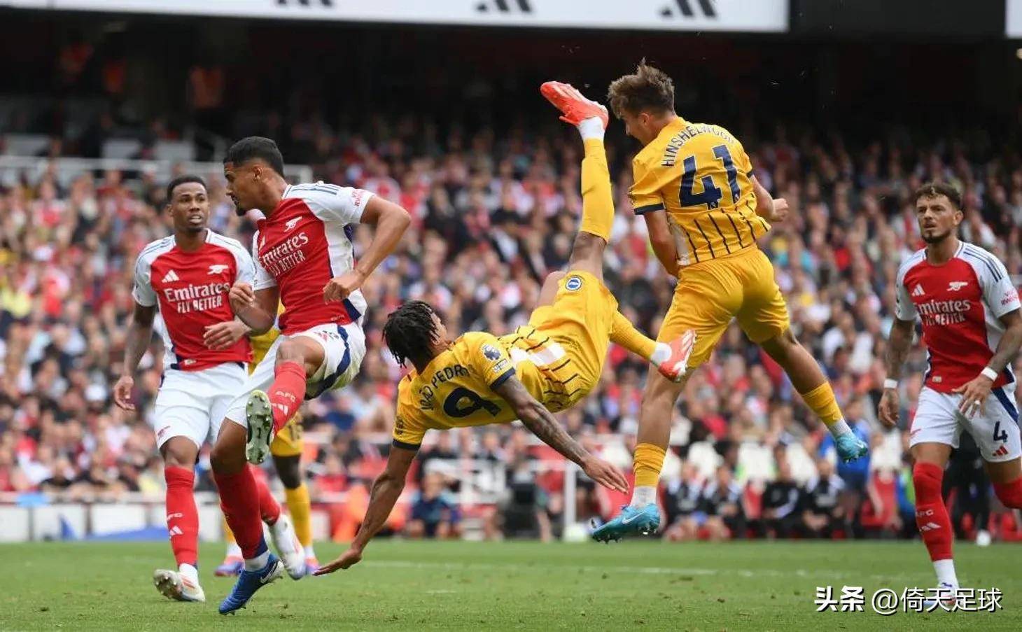 段建立优势 段建立优势